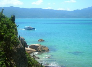 IMG_0F299C-F6F549-875E5A-5FF93C-0B6E69-209401