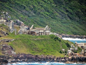 IMG_1DD865-1D2A11-607399-A584D6-19A6F6-BC0905