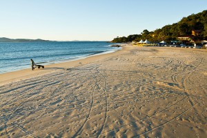 IMG_411303-D377DE-1D0392-F4AAE6-F22820-F3587E