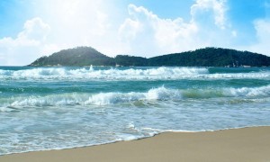 IMG_44DCC8-A266EE-5A2CCC-521F41-4C3181-E5AA77