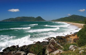 IMG_61BD1D-2F0F36-123804-FC5972-442240-30470E