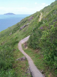 IMG_693A10-DE98B7-9F09B2-93643F-5B447B-D33949