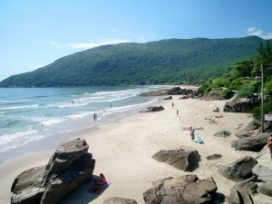 IMG_6955A7-2E4277-341A58-330E5A-8BF8F3-B9A46E