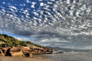 IMG_75B408-C955CC-70AF5C-72CB0E-0C191C-AD92EF