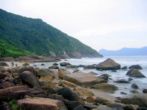 IMG_8CA7A2-78923E-B240F4-5FE646-0A4236-3D4612