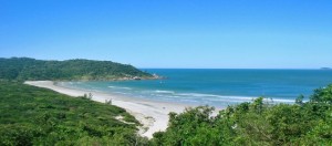 IMG_8DAE34-4FF0D1-6F4248-D4D9E8-A39235-6AA503