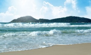 IMG_94497C-6CB6CA-623A1B-9A15DA-3B6306-FF77F5