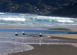 IMG_AB1394-84F483-469706-816D1E-201AF4-B60E9E