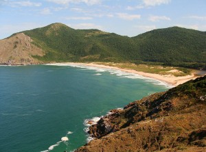 IMG_B2568F-500795-6A7F37-DD962B-A1255B-82165A