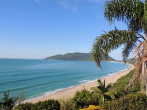 IMG_C0C5B6-F42783-3292F9-CA9BAF-071D97-13F0D1