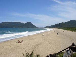 IMG_DD9B41-4DC0F5-264C17-90EB68-051D89-143896